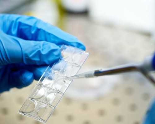 贵州助孕饮食调整：均衡营养备孕