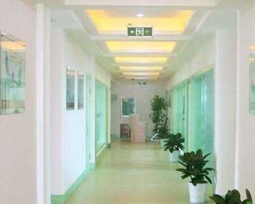 备孕期间的饮食调理与科学助孕