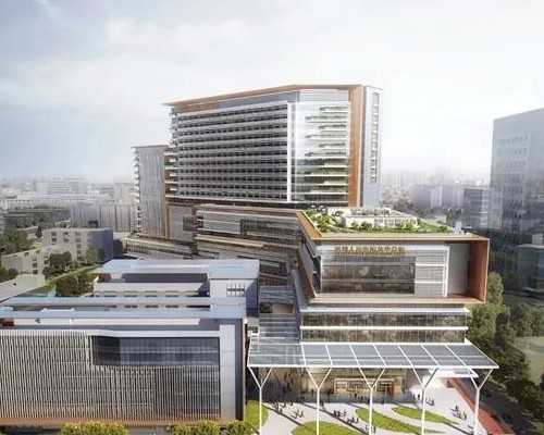 贵阳试管助孕：维生素E助孕效果与食用指南