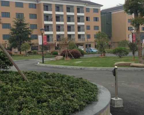 贵阳找个代生 2026贵阳三代试管医院排名： ‘三个月b超上看看男女’