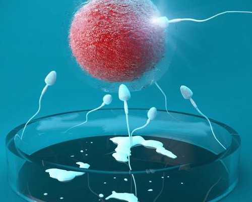 专业助孕机构：试管婴儿技术的可靠选择