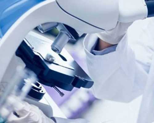 贵州人工助孕指南：促排卵、人工授精与试管婴儿全解析