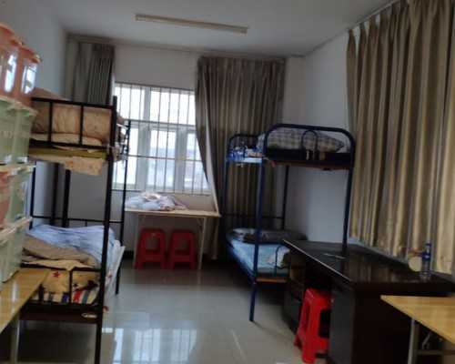 国内靠谱的助孕机构精选与成功率分析