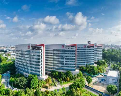 闭经对贵州试管婴儿助孕的影响及应对策略