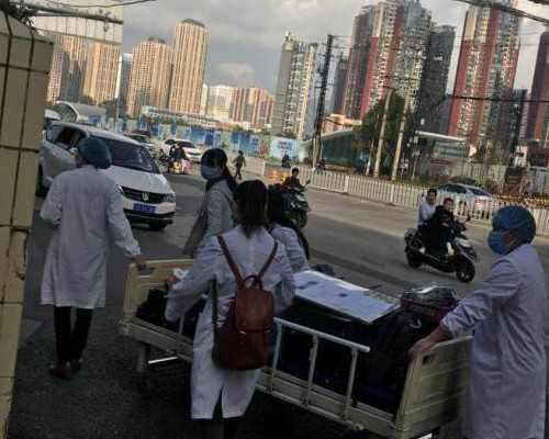 揭秘试管助孕：经验分享与成功率指南