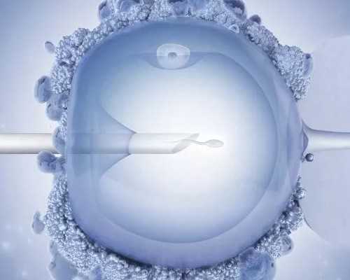 维生素E在贵州助孕中的作用与见效时间