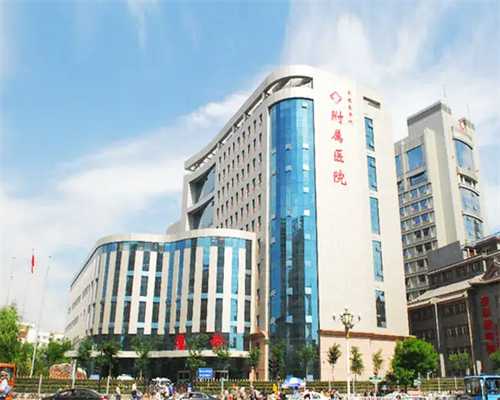 备孕女性的营养指南：促进受孕的食物选择