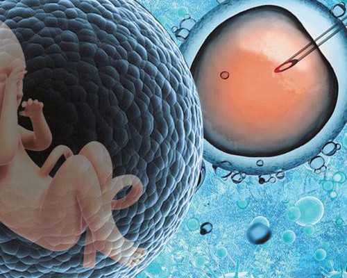 探寻生命奇迹：助孕技术的先进实践
