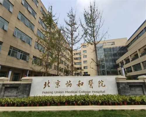 优选助孕机构：经验与服务并重