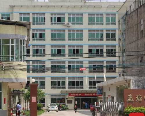 备孕期间的饮食与健康指南