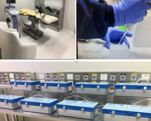 贵阳借卵去哪做,贵阳哪些医院做试管婴儿好？贵阳试管医院推荐