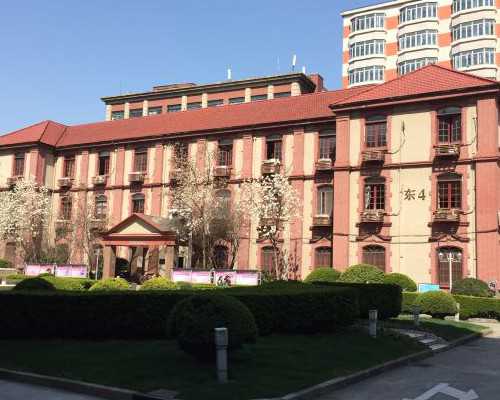 上海试管供卵机构深度解析，助您了解助孕机构优劣