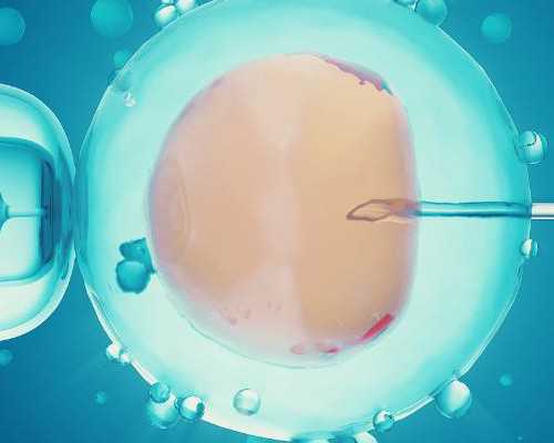 贵州优质助孕机构盘点及排名解析！