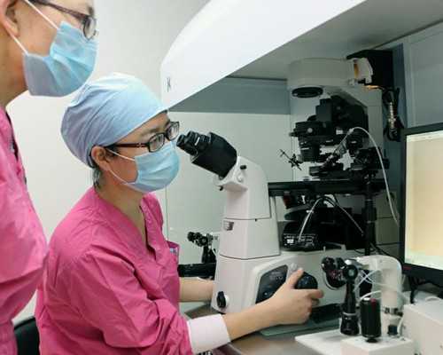 助力孕期生活：优化与适应的指南